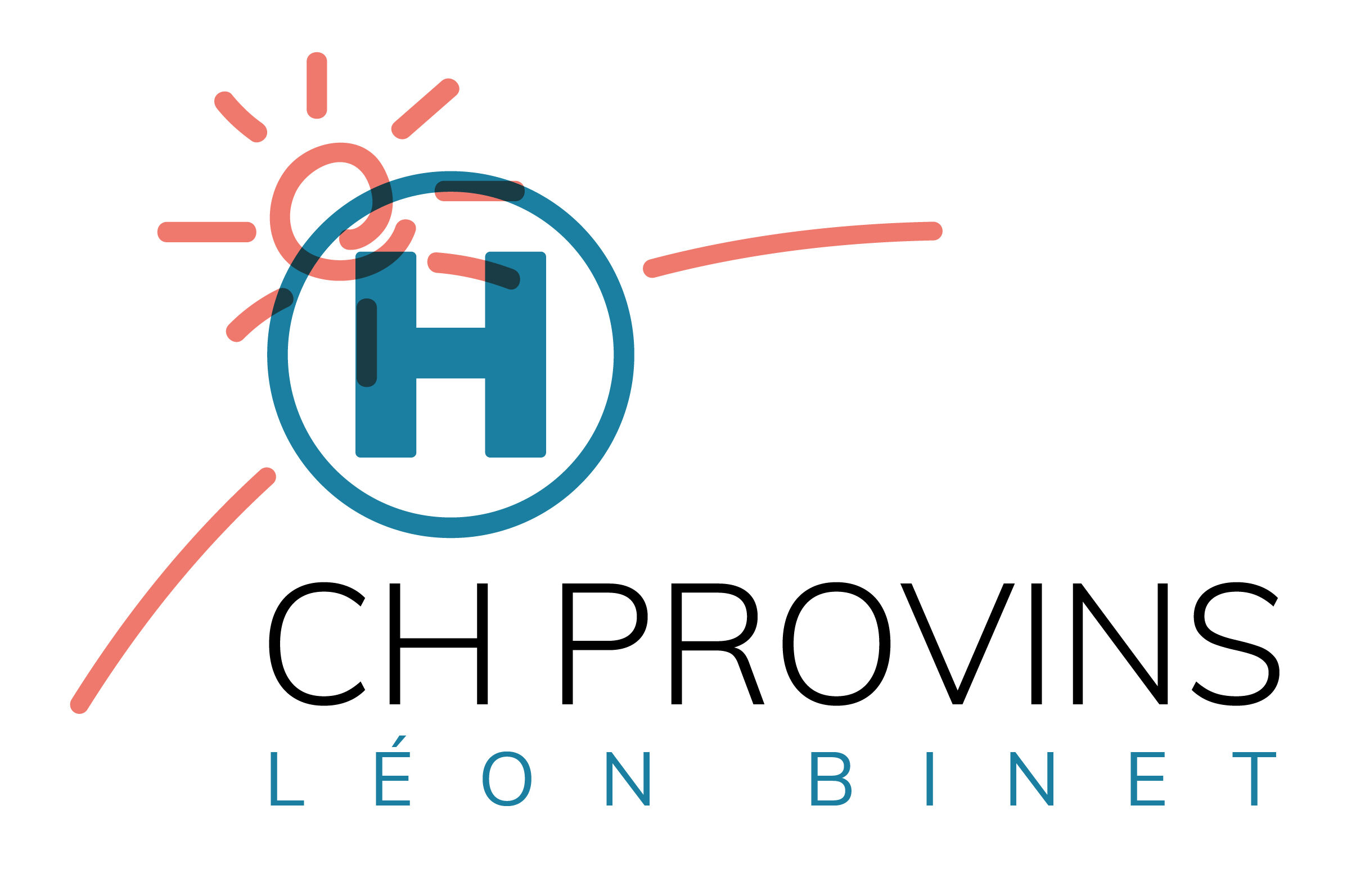 RDV En Ligne CH De Provins L on Binet RDV En Ligne CH De Provins L on Binet